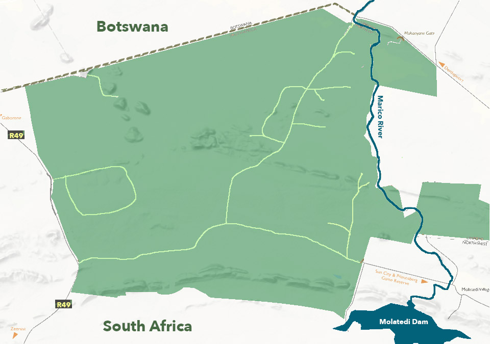 Points Image